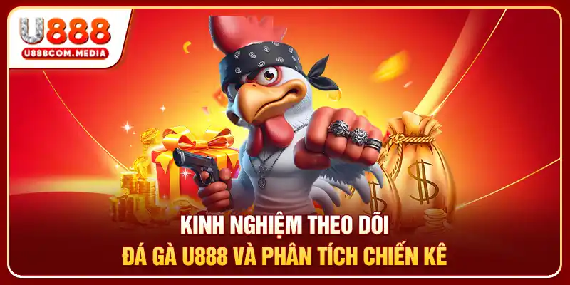 Kinh nghiệm theo dõi đá gà U888 và phân tích chiến kê